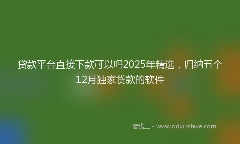 贷款平台直接下款可以吗2025年精选，归纳五个12月独家贷款的软件