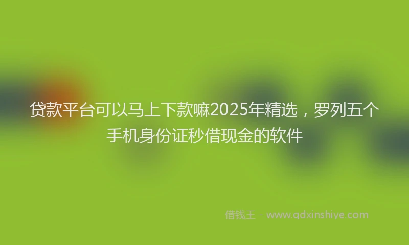 贷款平台可以马上下款嘛2025年精选，罗列五个手机身份证秒借现金的软件