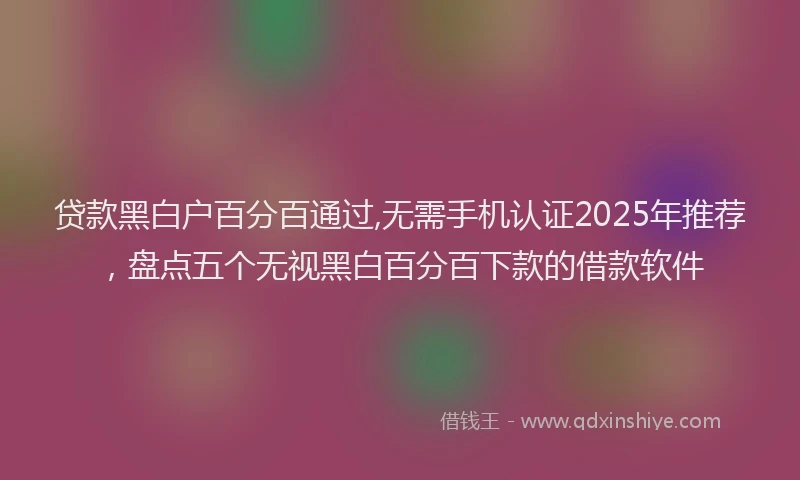 贷款黑白户百分百通过,无需手机认证2025年推荐，盘点五个无视黑白百分百下款的借款软件