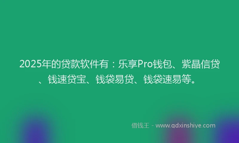 2025年的贷款软件有：乐享Pro钱包、紫晶信贷、钱速贷宝、钱袋易贷、钱袋速易等。