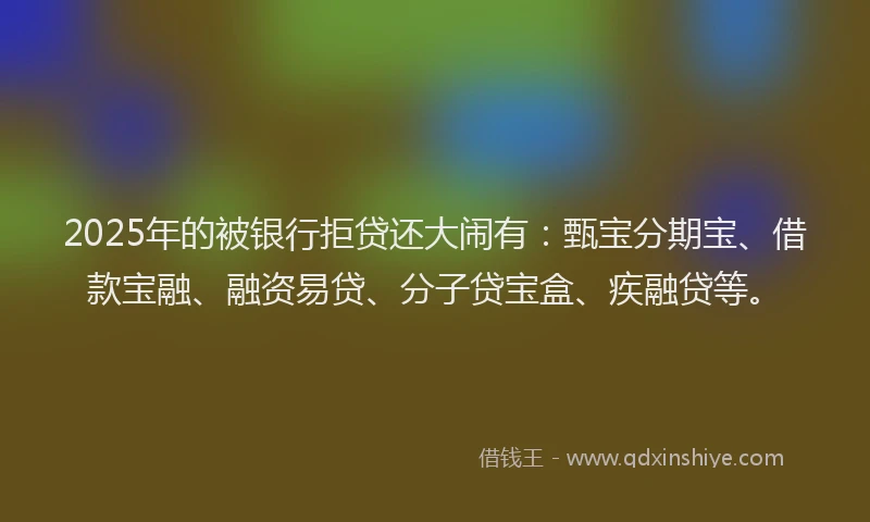 2025年的被银行拒贷还大闹有：甄宝分期宝、借款宝融、融资易贷、分子贷宝盒、疾融贷等。