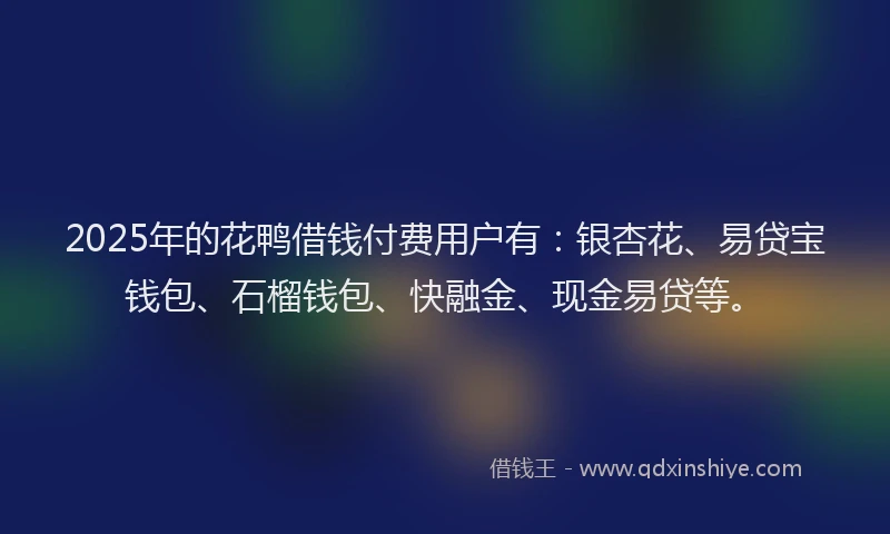 2025年的花鸭借钱付费用户有：银杏花、易贷宝钱包、石榴钱包、快融金、现金易贷等。