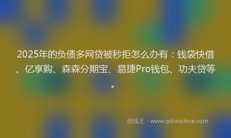2025年的负债多网贷被秒拒怎么办有：钱袋快借、亿享购、森森分期宝、易捷Pro钱包、功夫贷等。