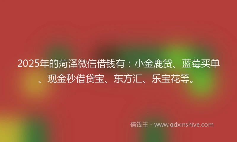 2025年的菏泽微信借钱有：小金鹿贷、蓝莓买单、现金秒借贷宝、东方汇、乐宝花等。