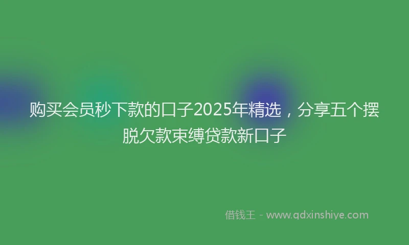 购买会员秒下款的口子2025年精选，分享五个摆脱欠款束缚贷款新口子