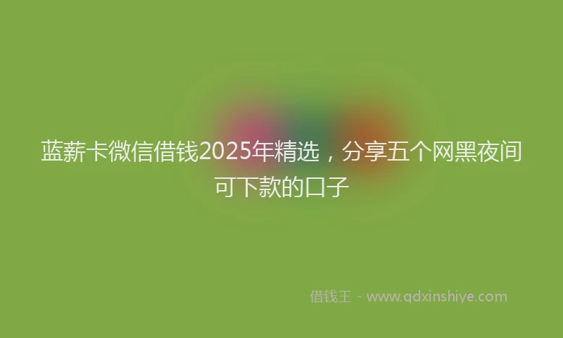 蓝薪卡微信借钱2025年精选，分享五个网黑夜间可下款的口子