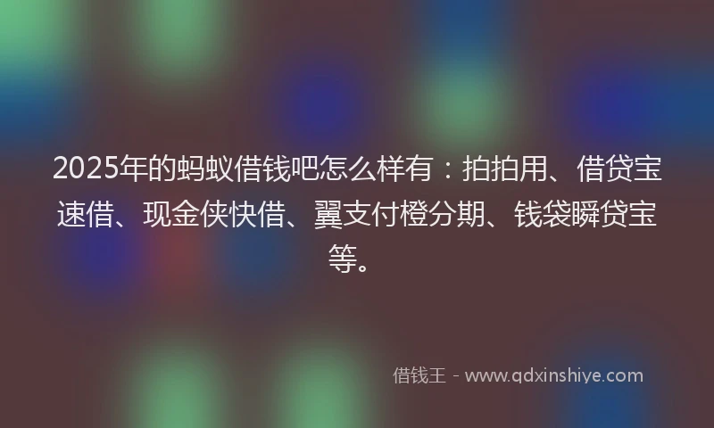2025年的蚂蚁借钱吧怎么样有：拍拍用、借贷宝速借、现金侠快借、翼支付橙分期、钱袋瞬贷宝等。