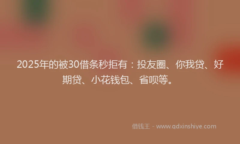 2025年的被30借条秒拒有：投友圈、你我贷、好期贷、小花钱包、省呗等。