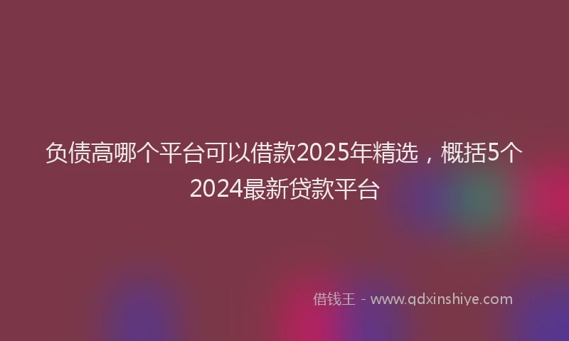 负债高哪个平台可以借款2025年精选，概括5个2024最新贷款平台