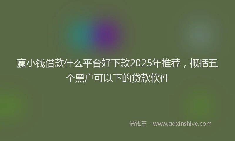 赢小钱借款什么平台好下款2025年推荐，概括五个黑户可以下的贷款软件