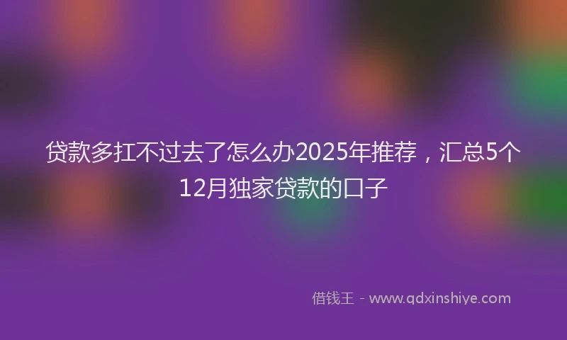 贷款多扛不过去了怎么办2025年推荐，汇总5个12月独家贷款的口子