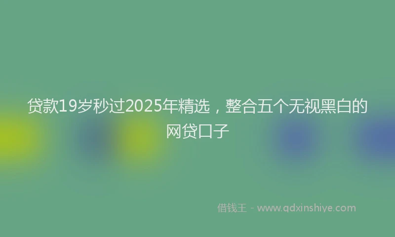 贷款19岁秒过2025年精选，整合五个无视黑白的网贷口子