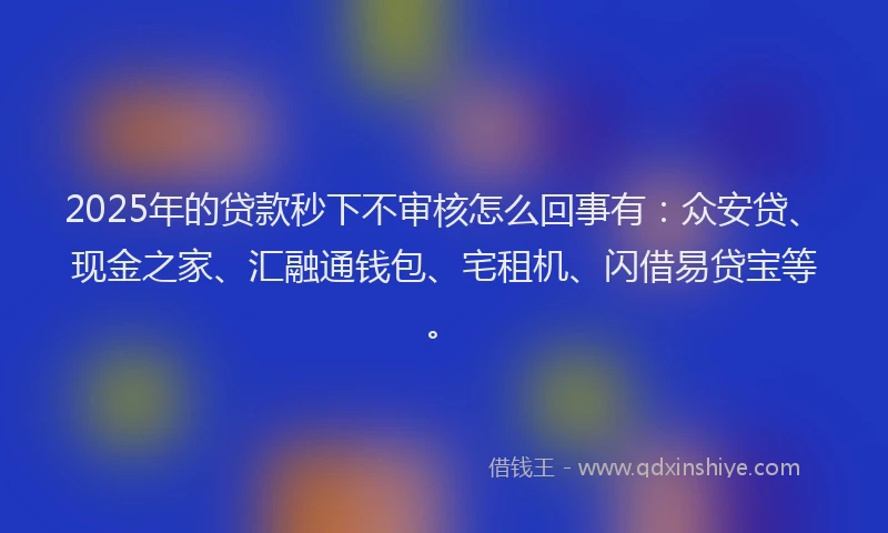 2025年的贷款秒下不审核怎么回事有：众安贷、现金之家、汇融通钱包、宅租机、闪借易贷宝等。