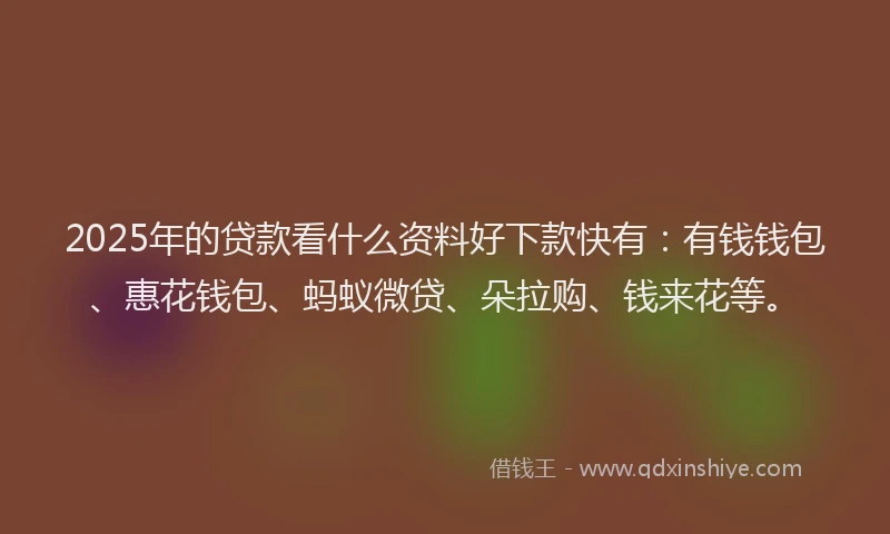 2025年的贷款看什么资料好下款快有：有钱钱包、惠花钱包、蚂蚁微贷、朵拉购、钱来花等。