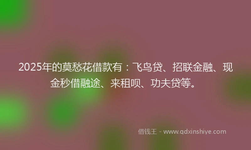 2025年的莫愁花借款有：飞鸟贷、招联金融、现金秒借融途、来租呗、功夫贷等。