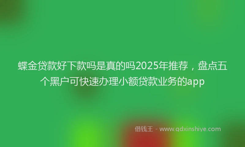 蝶金贷款好下款吗是真的吗2025年推荐，盘点五个黑户可快速办理小额贷款业务的app