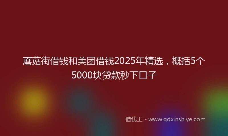 蘑菇街借钱和美团借钱2025年精选，概括5个5000块贷款秒下口子