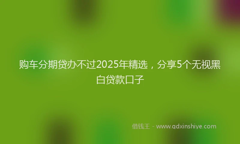 购车分期贷办不过2025年精选，分享5个无视黑白贷款口子