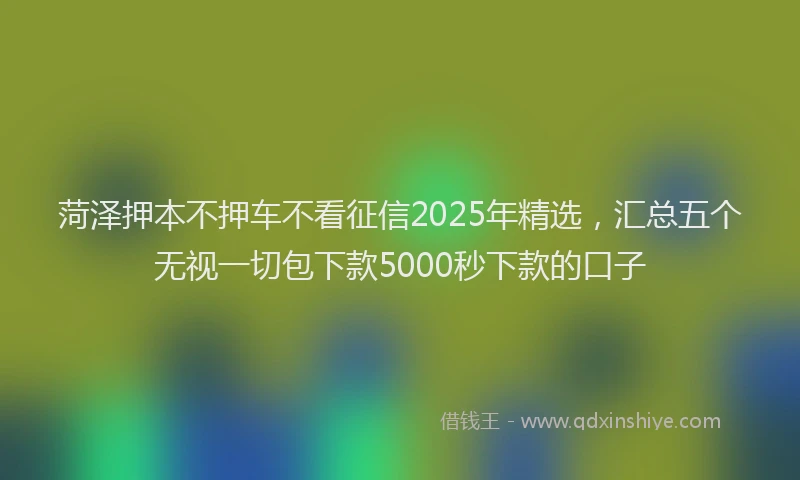 菏泽押本不押车不看征信2025年精选，汇总五个无视一切包下款5000秒下款的口子
