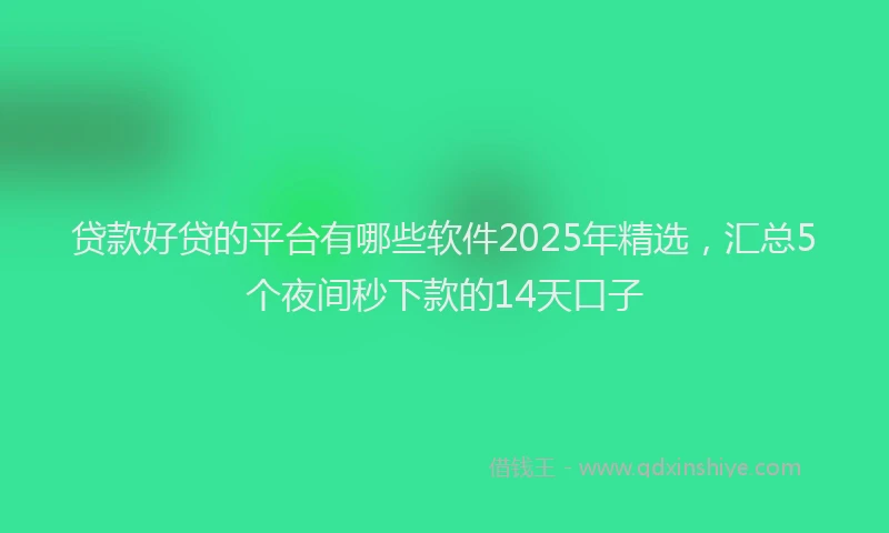 贷款好贷的平台有哪些软件2025年精选，汇总5个夜间秒下款的14天口子