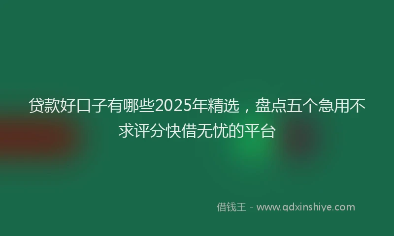 贷款好口子有哪些2025年精选，盘点五个急用不求评分快借无忧的平台