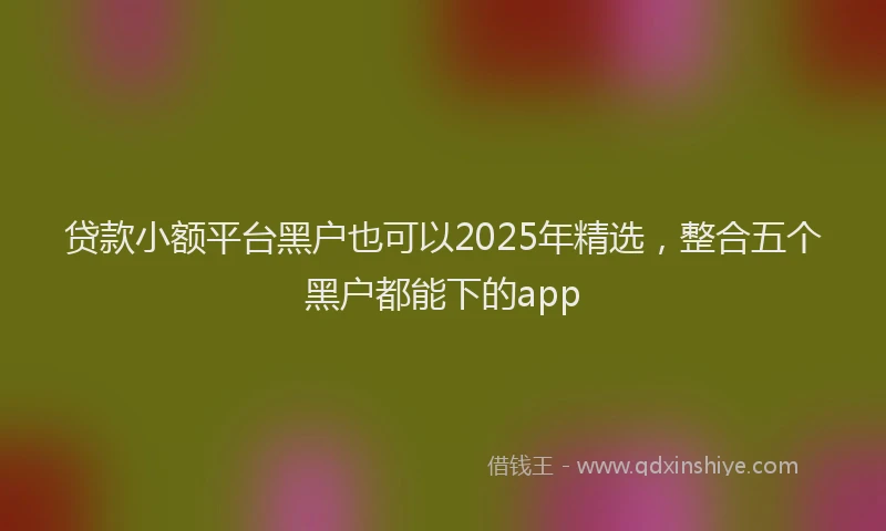 贷款小额平台黑户也可以2025年精选，整合五个黑户都能下的app