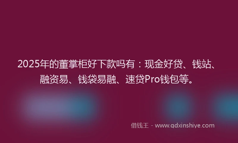 2025年的董掌柜好下款吗有：现金好贷、钱站、融资易、钱袋易融、速贷Pro钱包等。