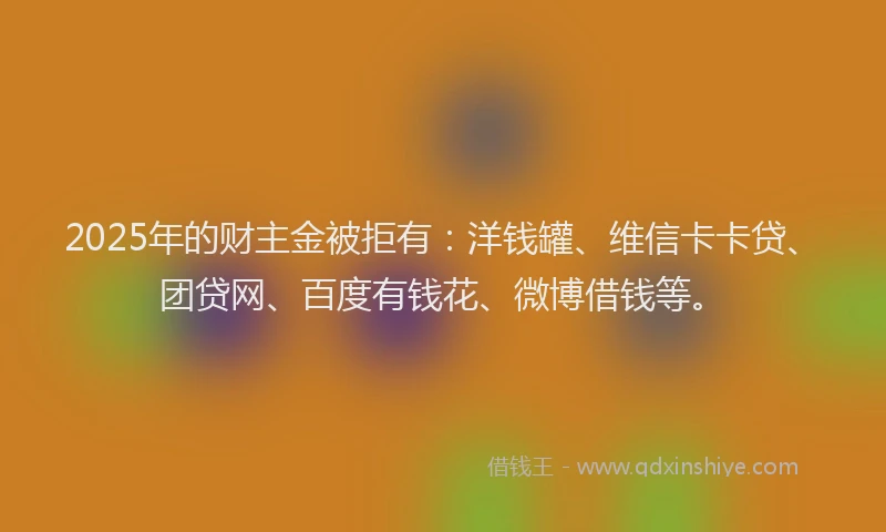 2025年的财主金被拒有：洋钱罐、维信卡卡贷、团贷网、百度有钱花、微博借钱等。
