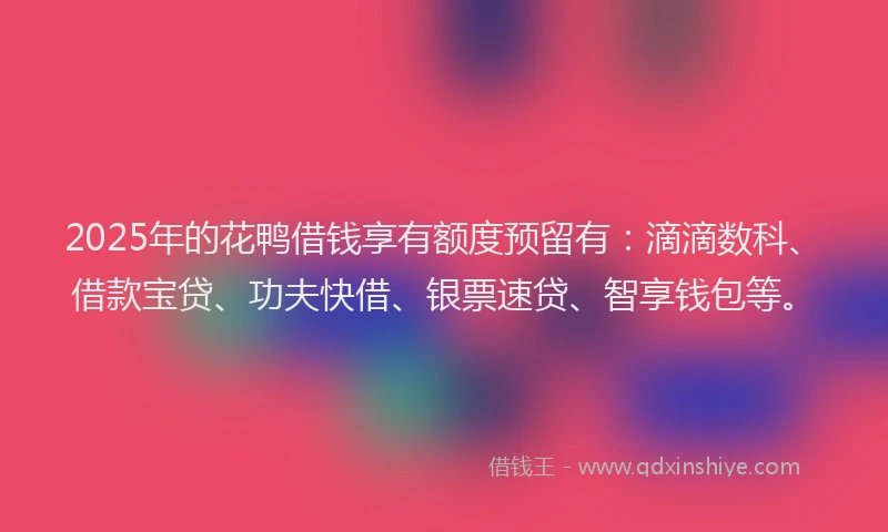 2025年的花鸭借钱享有额度预留有：滴滴数科、借款宝贷、功夫快借、银票速贷、智享钱包等。