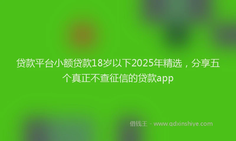 贷款平台小额贷款18岁以下2025年精选，分享五个真正不查征信的贷款app