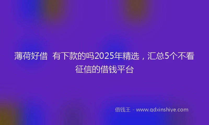 薄荷好借  有下款的吗2025年精选，汇总5个不看征信的借钱平台
