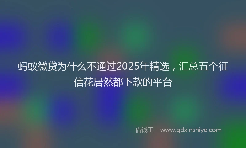 蚂蚁微贷为什么不通过2025年精选，汇总五个征信花居然都下款的平台