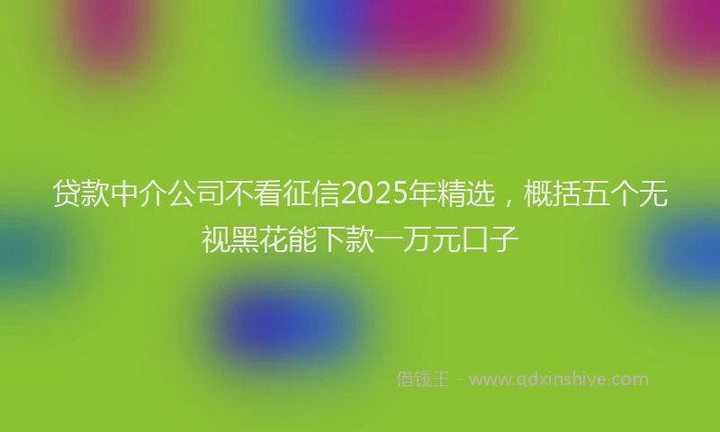 贷款中介公司不看征信2025年精选，概括五个无视黑花能下款一万元口子
