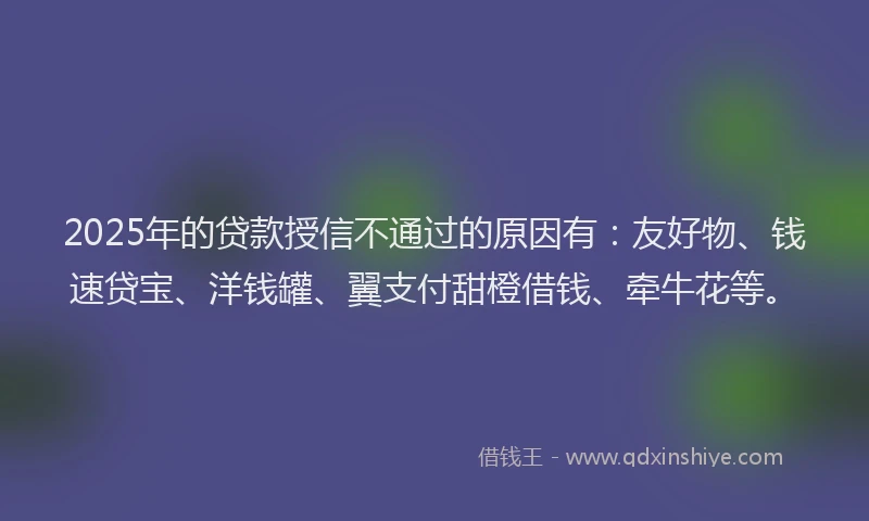 2025年的贷款授信不通过的原因有：友好物、钱速贷宝、洋钱罐、翼支付甜橙借钱、牵牛花等。