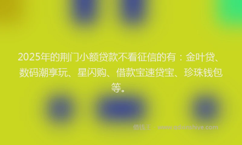2025年的荆门小额贷款不看征信的有：金叶贷、数码潮享玩、星闪购、借款宝速贷宝、珍珠钱包等。