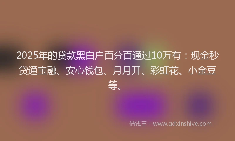 2025年的贷款黑白户百分百通过10万有：现金秒贷通宝融、安心钱包、月月开、彩虹花、小金豆等。