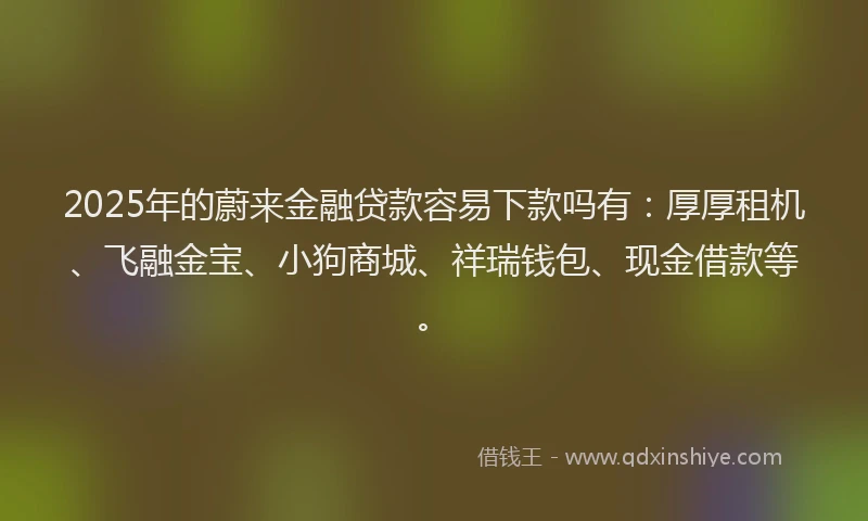 2025年的蔚来金融贷款容易下款吗有：厚厚租机、飞融金宝、小狗商城、祥瑞钱包、现金借款等。