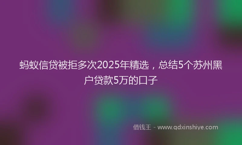 蚂蚁信贷被拒多次2025年精选，总结5个苏州黑户贷款5万的口子
