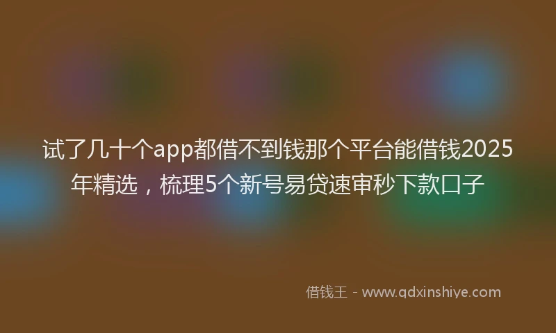 试了几十个app都借不到钱那个平台能借钱2025年精选，梳理5个新号易贷速审秒下款口子