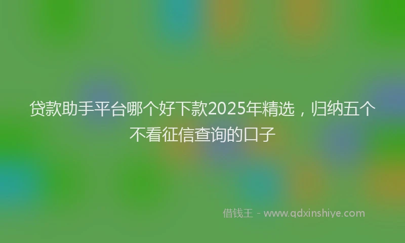贷款助手平台哪个好下款2025年精选，归纳五个不看征信查询的口子