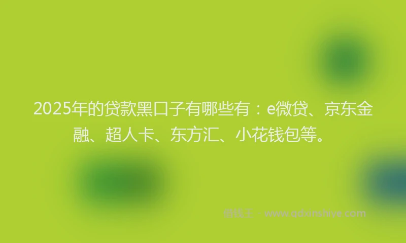 2025年的贷款黑口子有哪些有：e微贷、京东金融、超人卡、东方汇、小花钱包等。