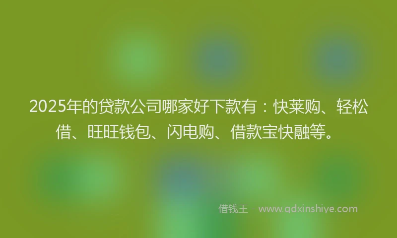 2025年的贷款公司哪家好下款有：快莱购、轻松借、旺旺钱包、闪电购、借款宝快融等。