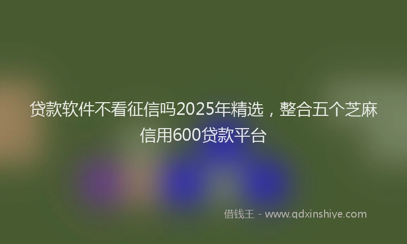 贷款软件不看征信吗2025年精选，整合五个芝麻信用600贷款平台