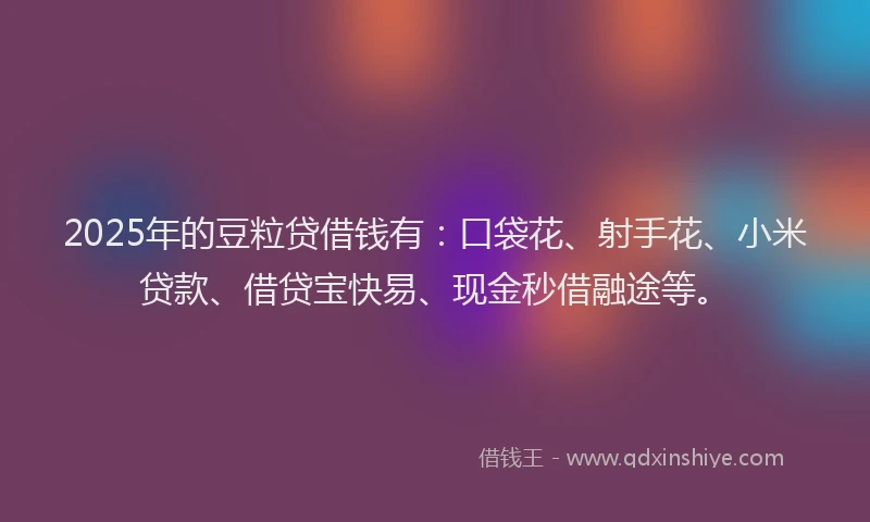 2025年的豆粒贷借钱有：口袋花、射手花、小米贷款、借贷宝快易、现金秒借融途等。