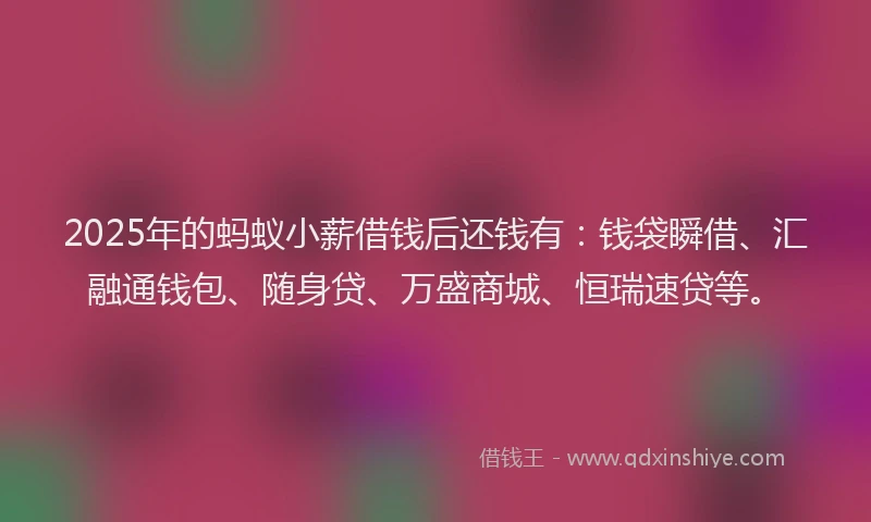 2025年的蚂蚁小薪借钱后还钱有：钱袋瞬借、汇融通钱包、随身贷、万盛商城、恒瑞速贷等。
