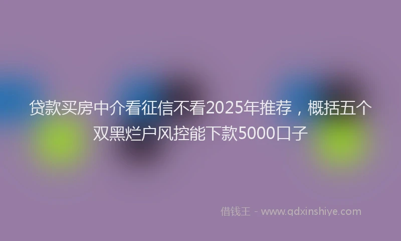 贷款买房中介看征信不看2025年推荐，概括五个双黑烂户风控能下款5000口子