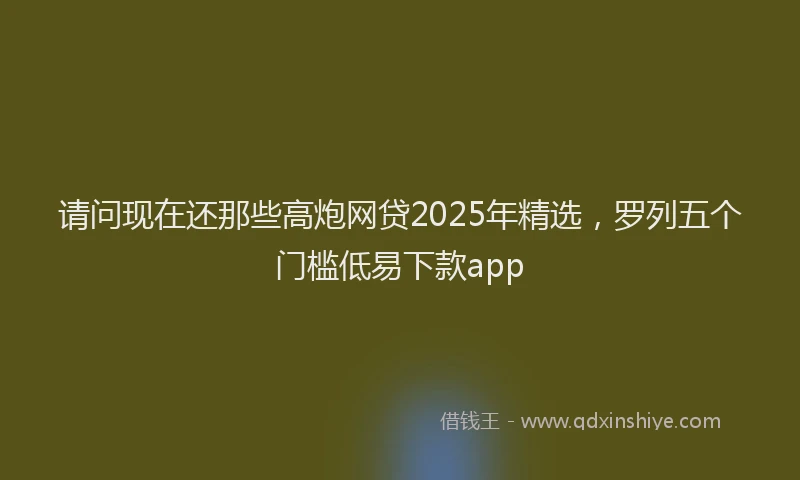 请问现在还那些高炮网贷2025年精选，罗列五个门槛低易下款app
