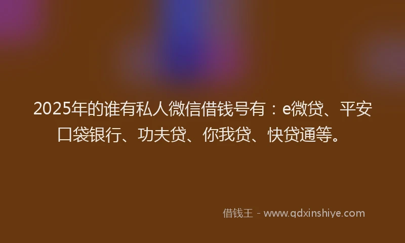2025年的谁有私人微信借钱号有：e微贷、平安口袋银行、功夫贷、你我贷、快贷通等。