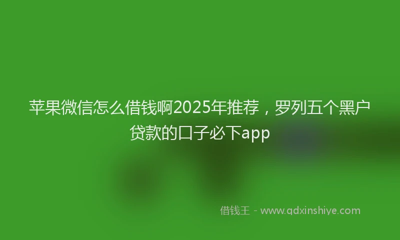 苹果微信怎么借钱啊2025年推荐，罗列五个黑户贷款的口子必下app
