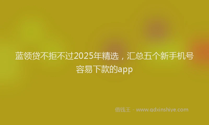 蓝领贷不拒不过2025年精选，汇总五个新手机号容易下款的app